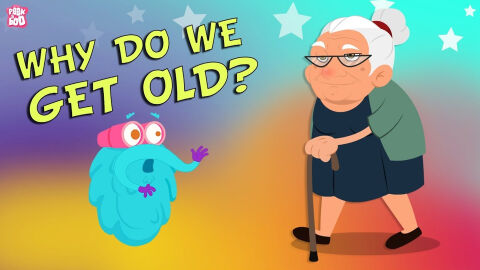 Why do we get old?