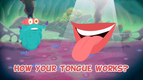 How your tongue works