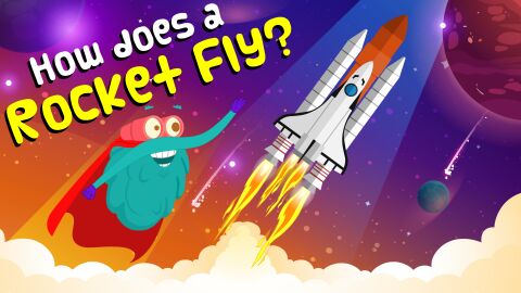 How does a rocket fly?