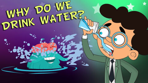 Why do we drink water?