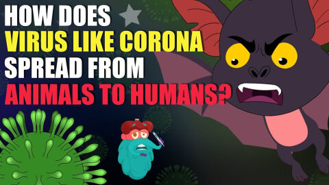 What is Zoonotic disease