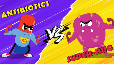 How antibiotics work
