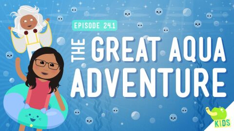 The Great Aqua Adventure