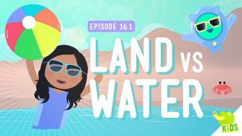 Land and Water