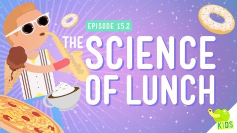 The Science of Lunch
