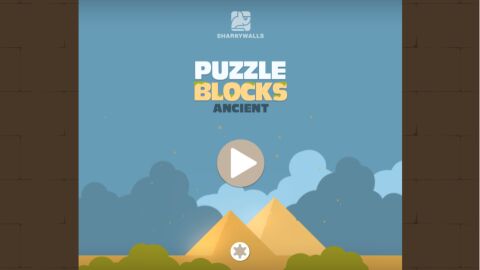Puzzle Blocks