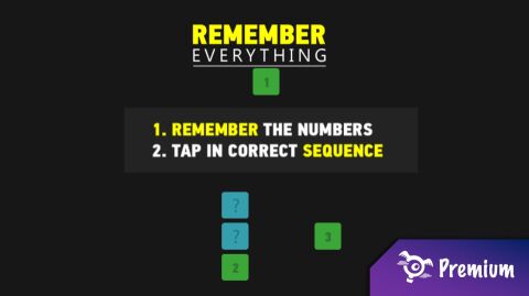 Remember Everything