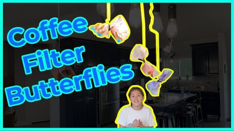 Coffee Filter Butterflies
