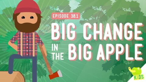 Big Changes in the Big Apple (NGSS)