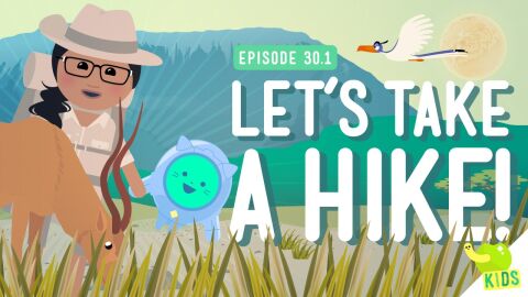 Lets Take a Hike (NGSS)