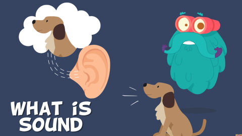 What is sound