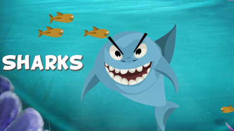 Sharks