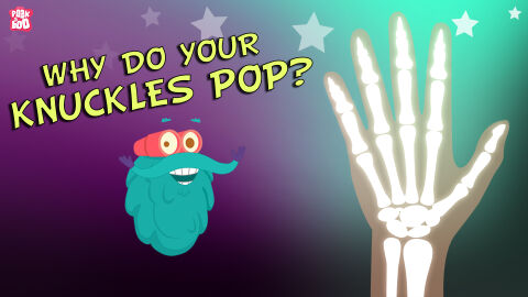 Why do your knuckles pop