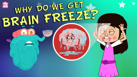 Why do we get brain freeze