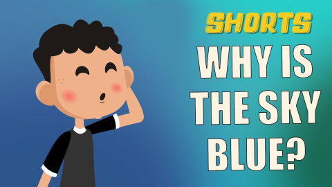 Why is the sky blue
