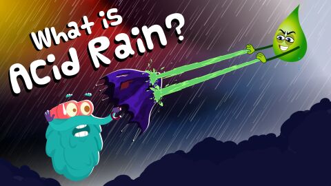 What is acid rain