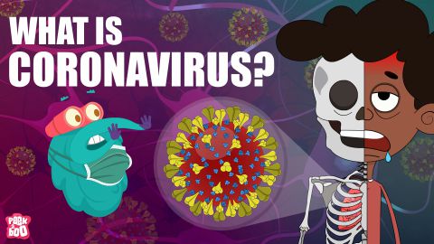 What is Corona virus