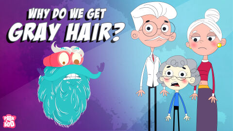 Why do we get grey hair?