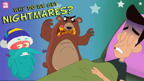 Why do we get nightmares?