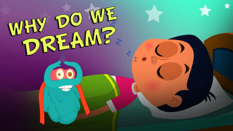 Why do we dream?